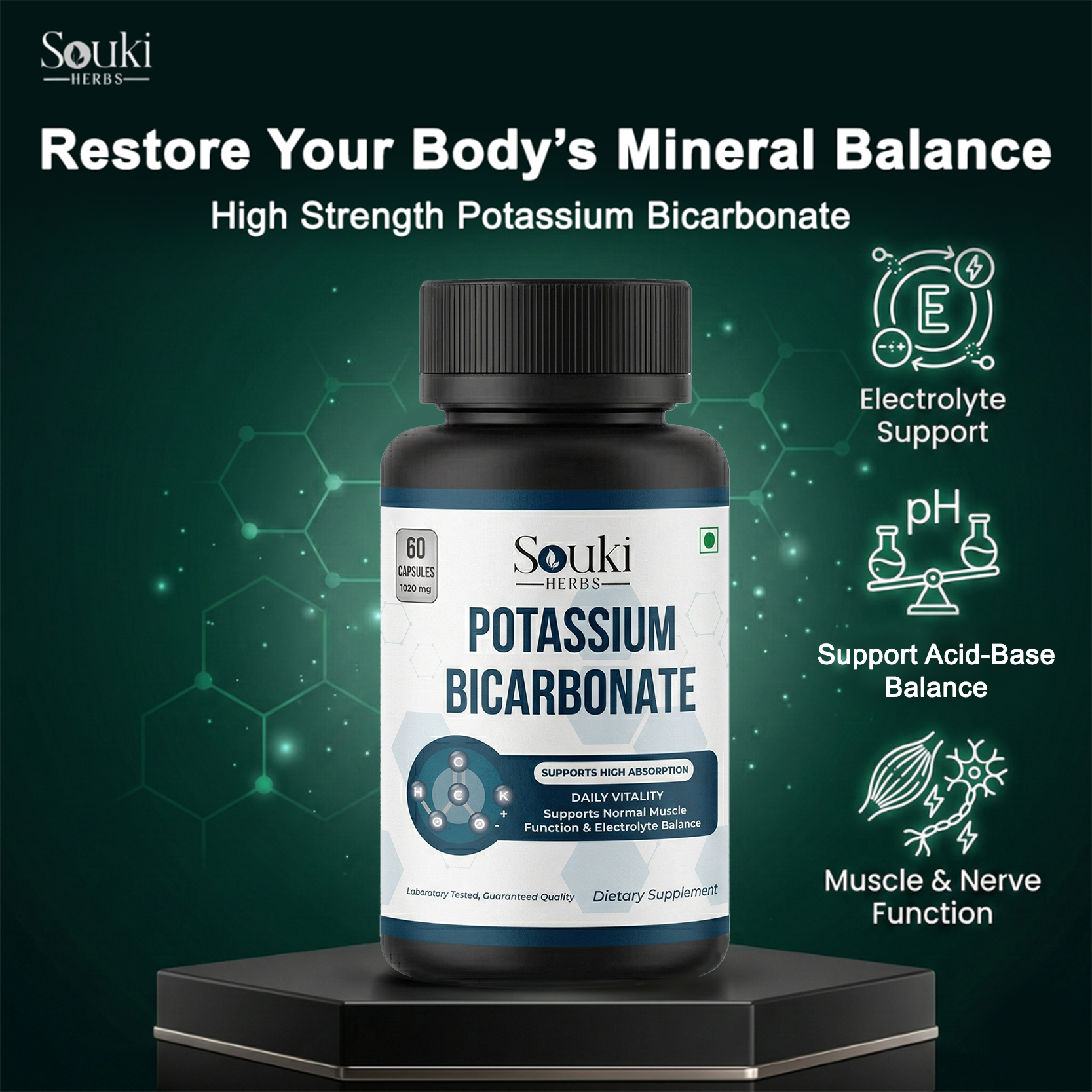 Bicarbonate View 2